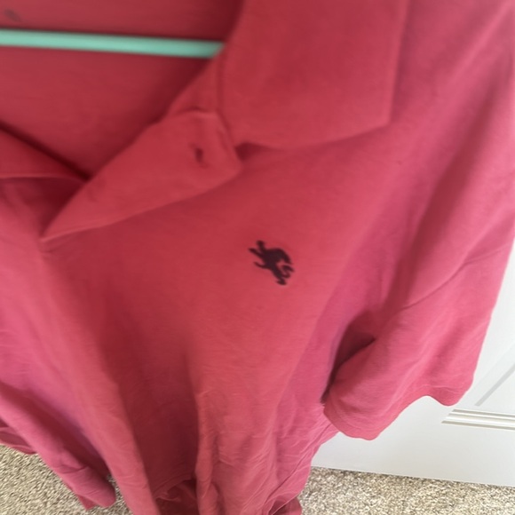 Men’s Express Polo - Picture 2 of 4